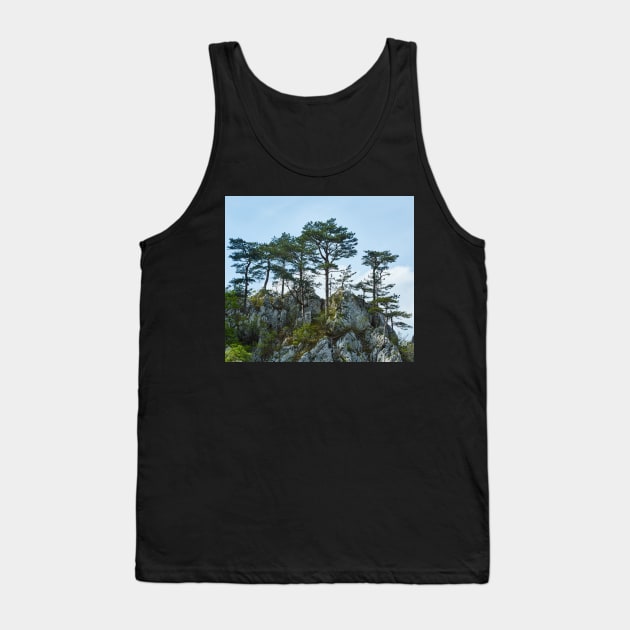 Pinus nigra on mountains peak Tank Top by naturalis